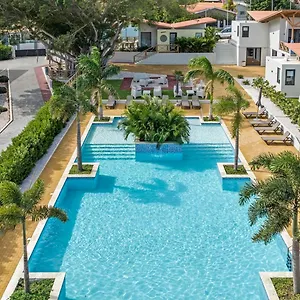 Malvales Curaçao